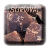 survival image button