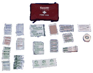 basic first aid kit